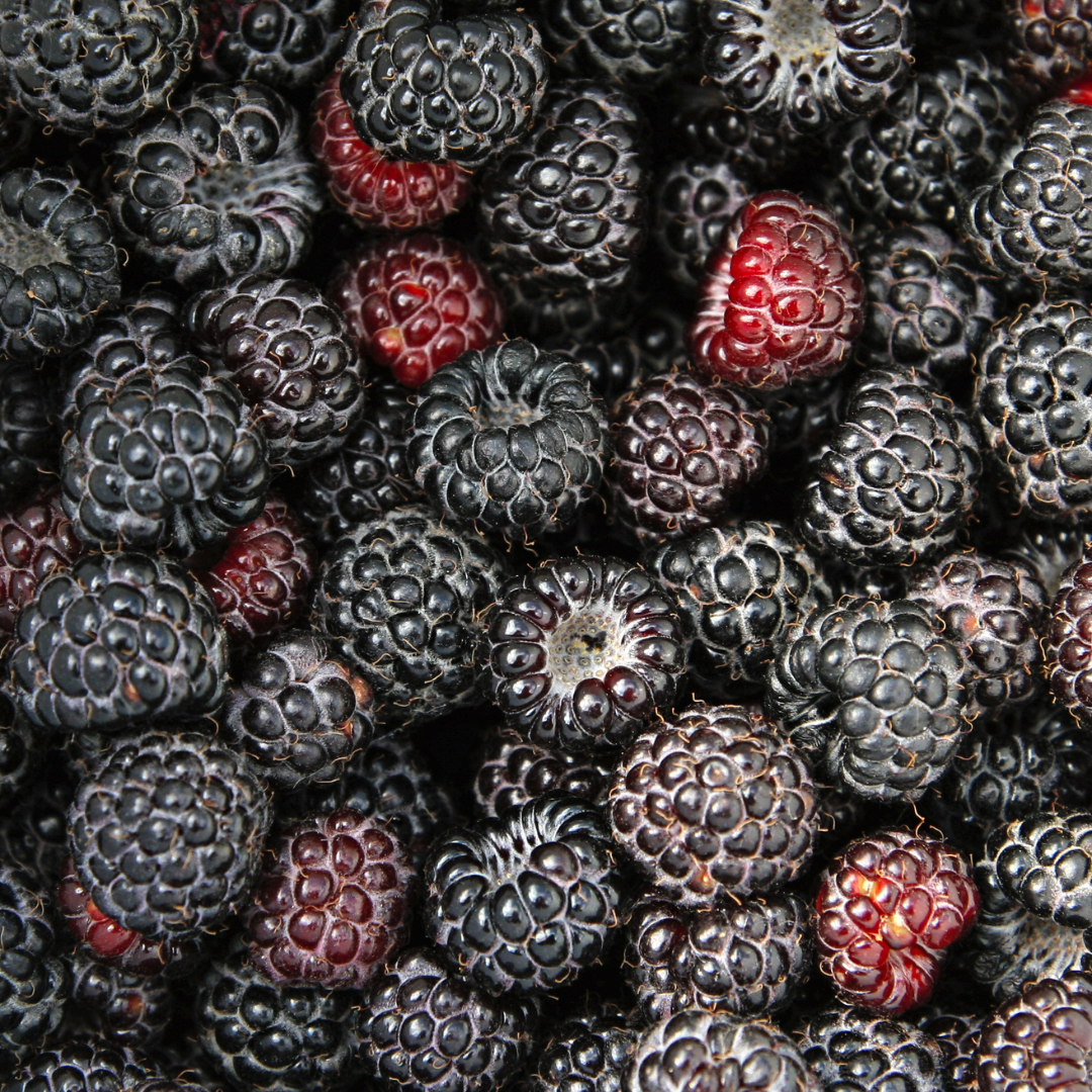 Black Raspberry & Vanilla Sugar Scrub